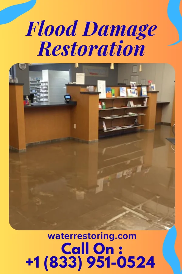 Flood Damage Restoration in Congerville, IL