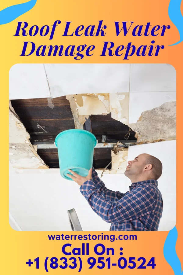 Roof Leak Water Damage Repair in Congerville, IL