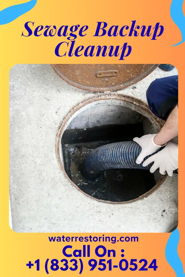 Sewage Backup Cleanup in Congerville, IL