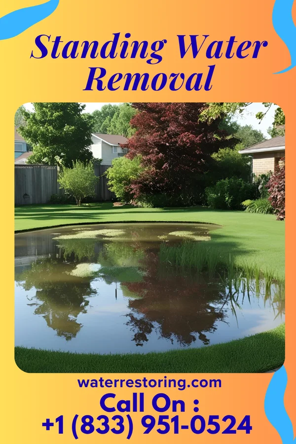 Standing Water Removal in Congerville, IL